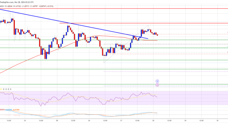 XRP Price Retains Strength: Is a New Upside Push Imminent?