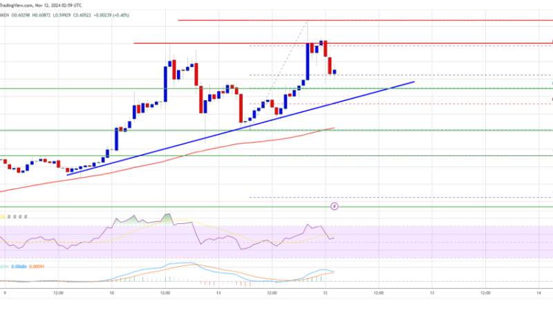 XRP Price Sets Sights on Larger Gains: Can Bulls Push Higher?