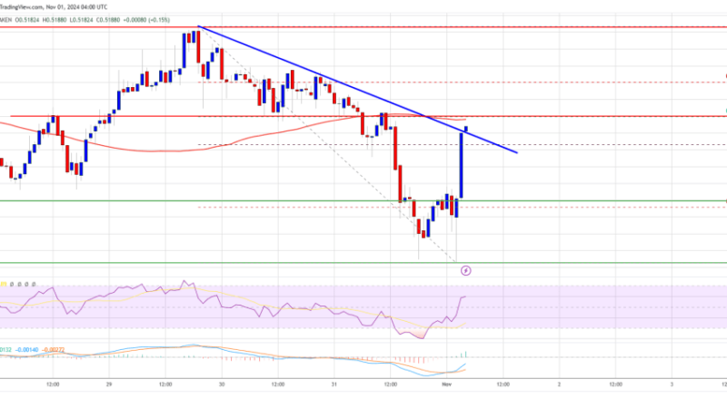 XRP Price Stands Firm Amid Bitcoin’s Dip: A Sign of Strength?