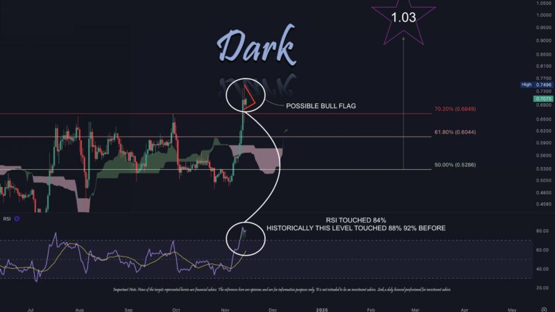 XRP Price Will Escalate To $1.03 This Week If This Happens: Analyst