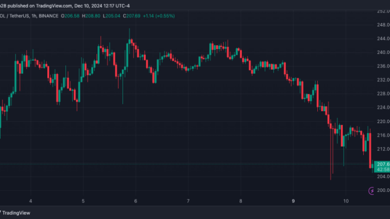 Analyst Sounds The Alarm As Solana (SOL) Retests $210, Rebound Or Retrace Next?