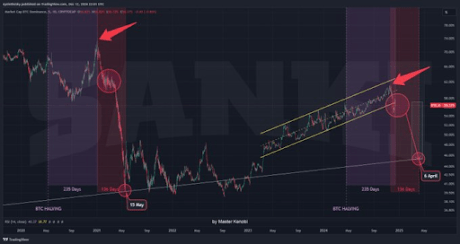 Bitcoin Price Dominance And Altcoin Season: What The Sudden Volatility Means For The Market