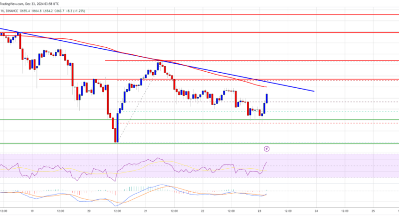 BNB Steadies Above Support: Will Bullish Momentum Return?