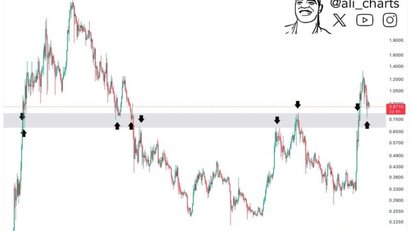 Cardano Holds Crucial Support At $0.77 – Massive Rally Ahead?