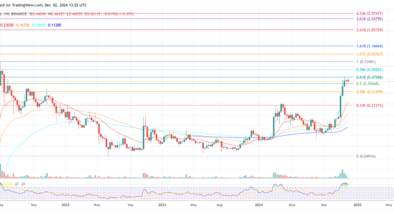 Dogecoin Alert: Why December 5 Is A Game-Changing Date For Price