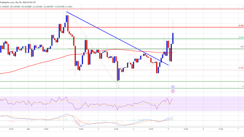 Dogecoin (DOGE) Bounces Back: Is a New Rally Brewing?