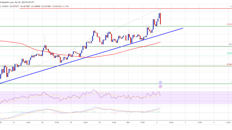 Dogecoin (DOGE) Eyes Big Break: $0.50 Within Reach