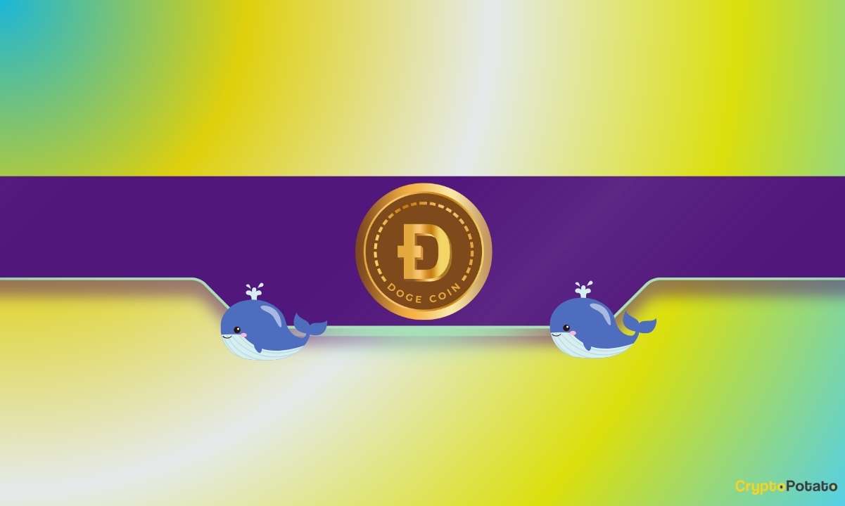 Dogecoin Price Stalls But Could Accumulating Whales Lead to Another DOGE Bull Rally?