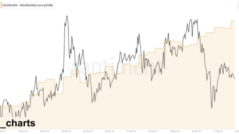 Dogecoin Rally Ahead? 85% Growth Expected by 2025 —Analyst