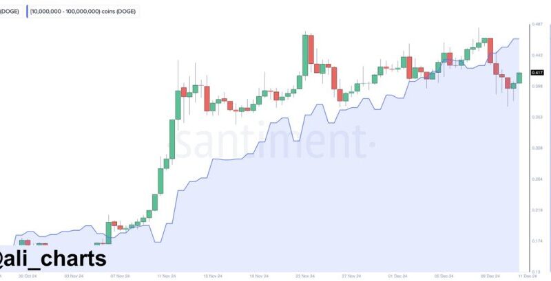 Dogecoin Whales Bought 210 million DOGE During Recent Correction – Bullish Signal?