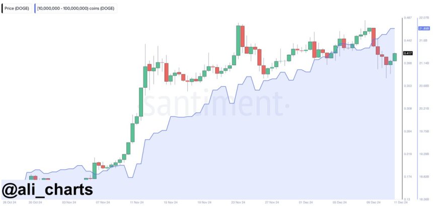 Dogecoin Whales Bought 210 million DOGE During Recent Correction – Bullish Signal?