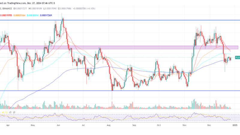 FLOKI Poised To Follow Dogecoin In Memecoin ETP Ranks After DAO Nod
