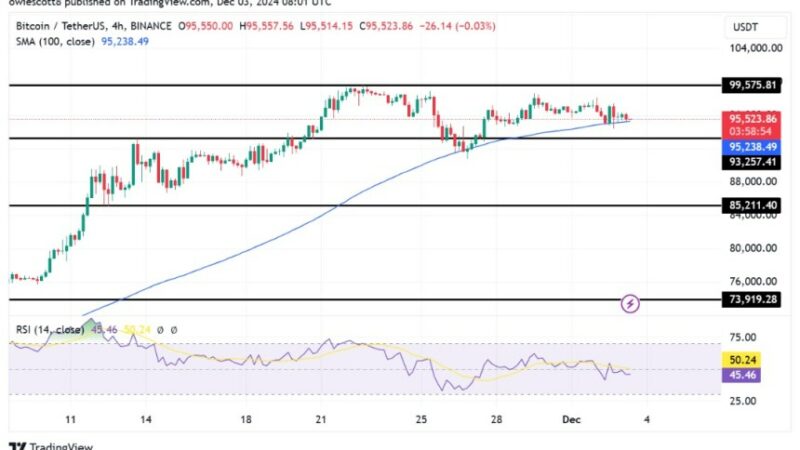 Fresh Drop For Bitcoin: Will Bulls Defend $93,257 Once More?