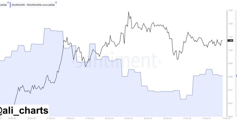 On-Chain Metrics Reveal Cardano Whales Are ‘Buying The Dip’ – Details