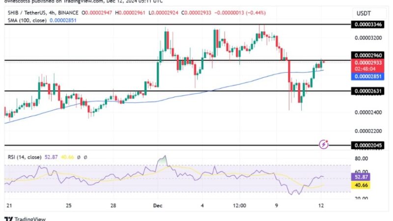 Shiba Inu Bulls Aim Higher As SHIB Sights $0.00002960 For A Fresh Rally