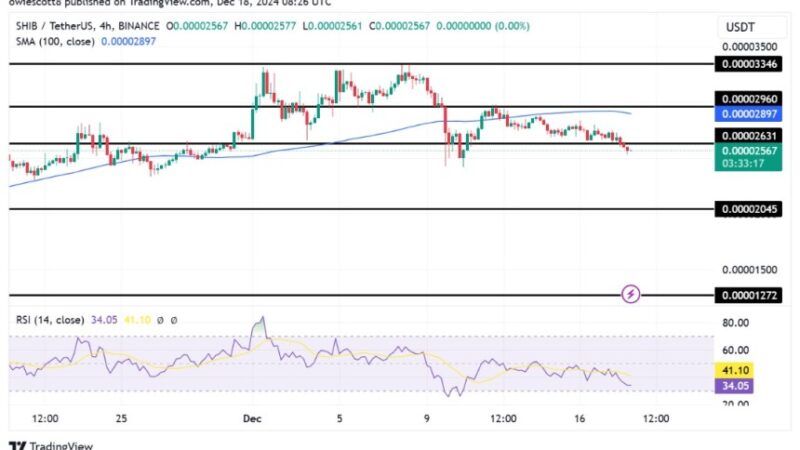 Shiba Inu Falls Below $0.00002631 As Bears Dominate The Market, Time To Buy?
