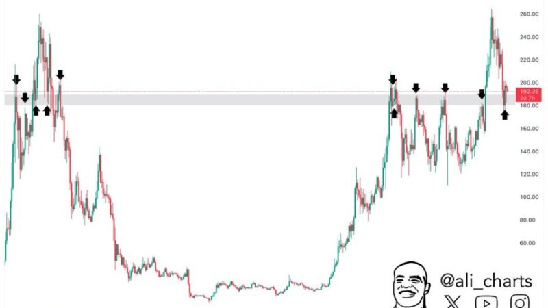 Solana Holds Crucial Level – Can SOL Push Above $200?