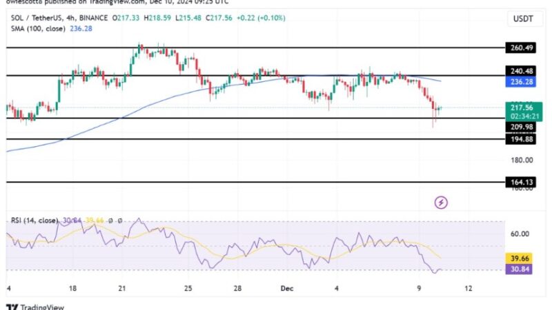 Solana Holds Steady At Key Support, Price Rebound Looming