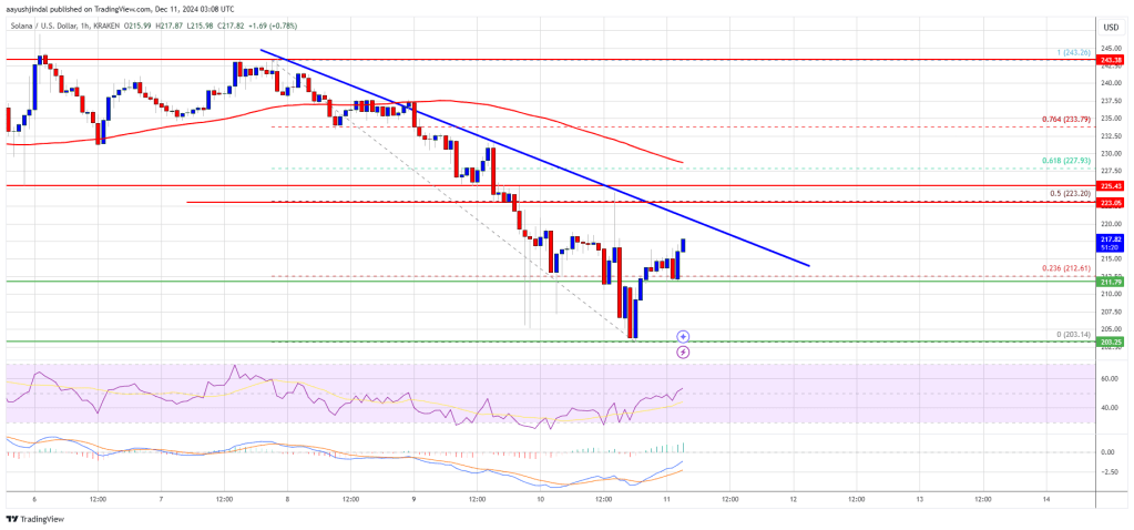 Solana (SOL) Encounters Barriers: Is a Fresh Surge Still Possible?