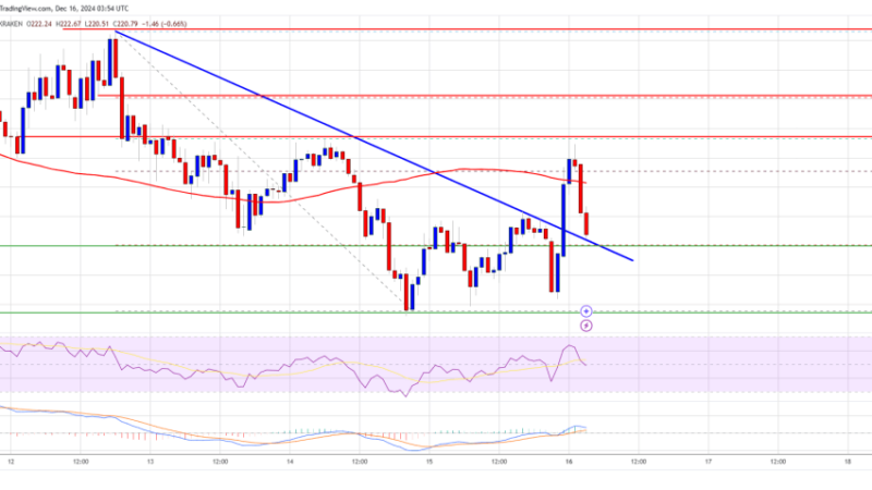 Solana (SOL) Faces Headwinds: Can Bulls Revive Momentum?