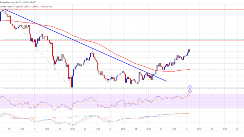 Solana (SOL) Gearing Up: Is a New Surge on the Horizon?