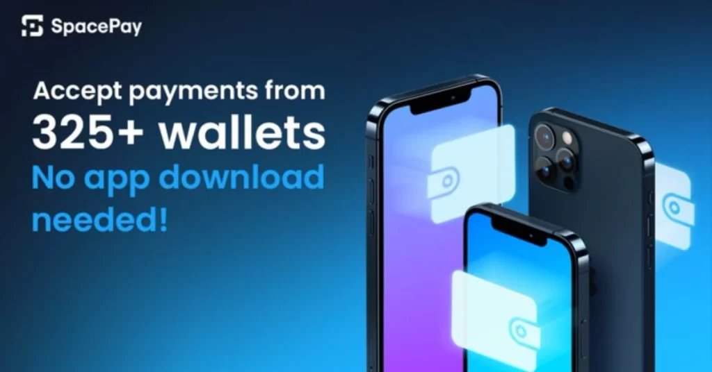 SpacePay’s Solution: A Deep Dive Into How 0.5% Fees Change Payment Economics