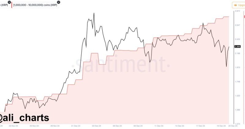 XRP Holds Key Demand Level – Whale Activity Suggests Strength