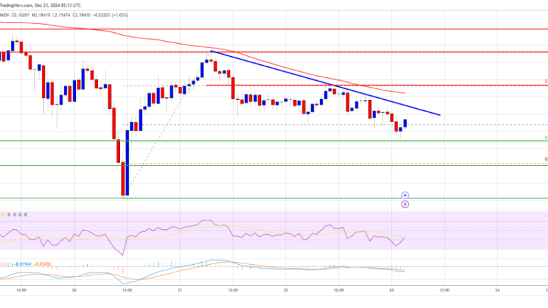 XRP Price at Risk: Can Support Levels Hold?