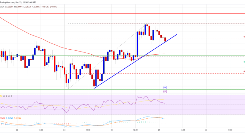 XRP Price Battles Key Hurdles: Can Bulls Prevail?