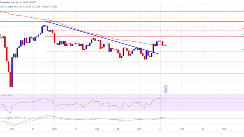 XRP Price Fresh Surge: Bulls Gear Up for Action
