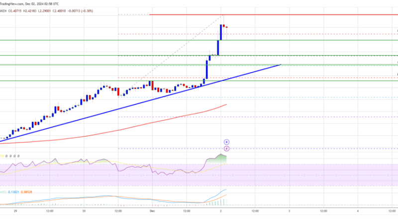 XRP Price Rockets Past $2.50: Is More to Come?