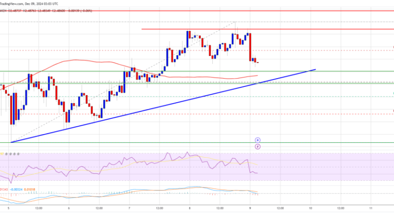 XRP Price Shows Resilience: Holding Strong and Eyes Another Surge