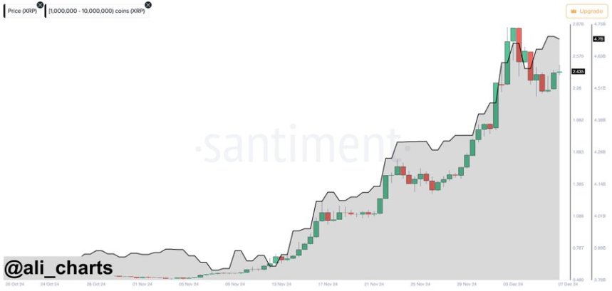 XRP To Maintain Price Rally As Whales Reload Amidst Price Dip- Details