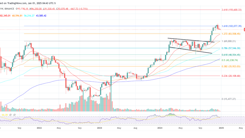 2025 Bitcoin Predictions: Top Fund Manager Shares His Outlook