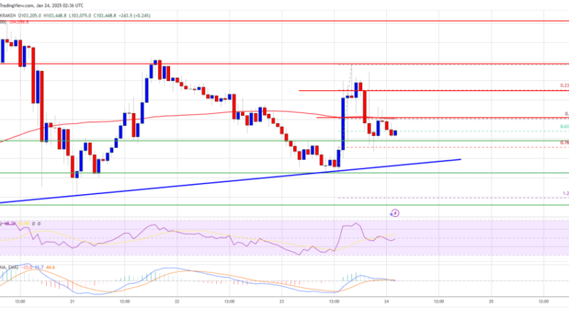 Bitcoin Price at $100K+: Consolidation or Calm Before the Next Move?