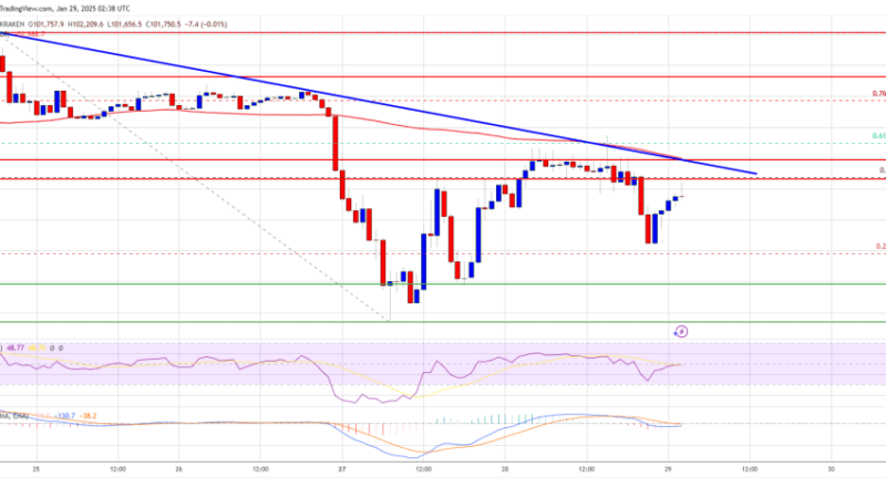 Bitcoin Price Faces Tough Resistance: A Breakout In The Cards?