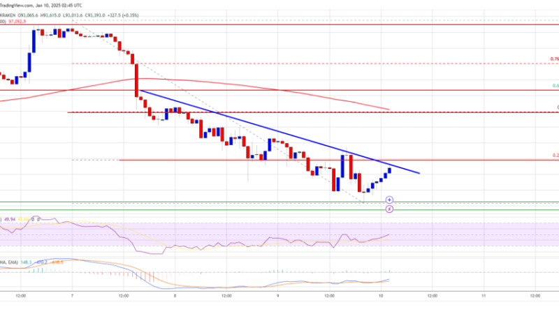 Bitcoin Price Under Pressure: BTC Struggles to Stay Afloat
