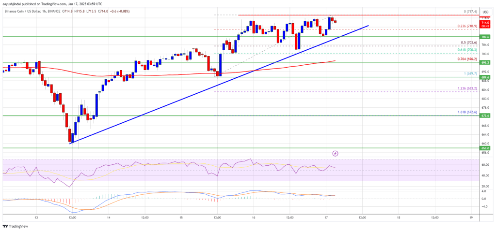 BNB Price Poised for Gains: Bulls Push for New Highs