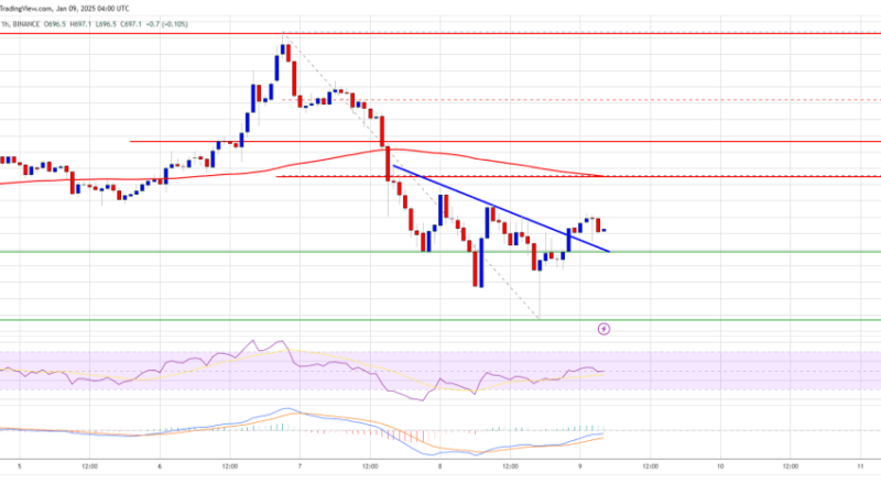 BNB Price Rebound Possible: Can It Climb Back to $720?