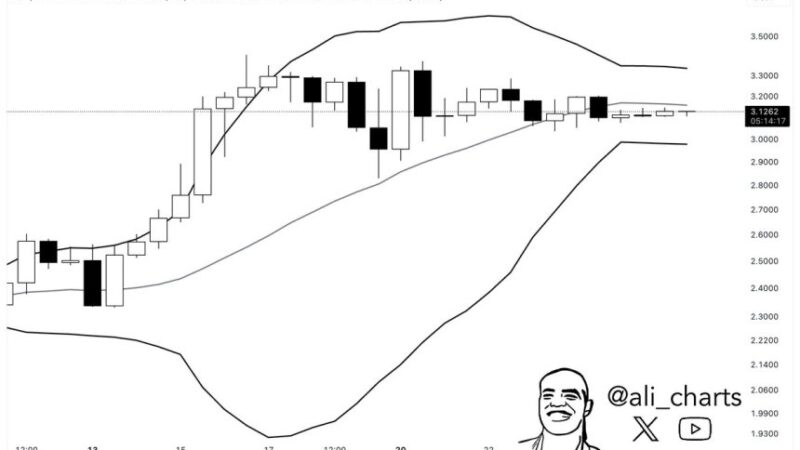 Bollinger Bands Tighten On XRP Daily Chart – Major Price Move Ahead?