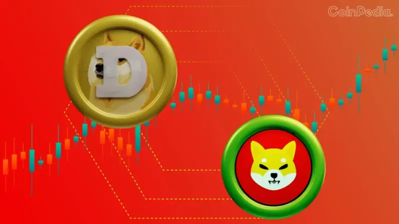 Crypto Market Down: Shiba Inu and Dogecoin Face 10% Drop Amid Market Sell-off