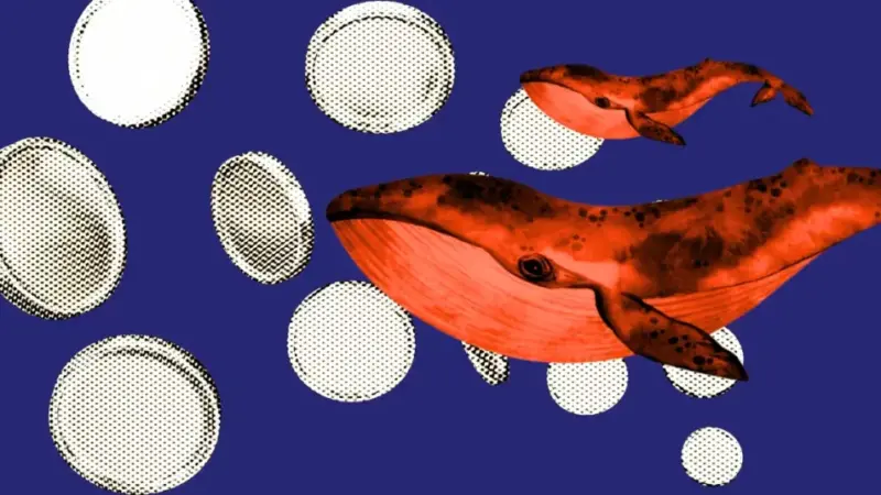 Crypto Whale Are Stacking These Altcoins! Last Chance To Buy The Dip?