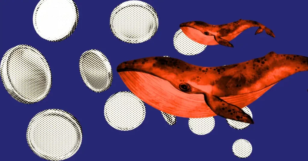 Crypto Whale Are Stacking These Altcoins! Last Chance To Buy The Dip?