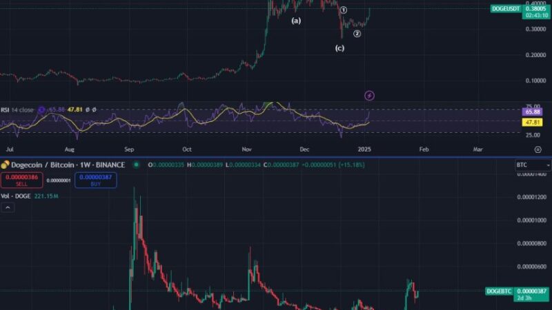 Dogecoin Explodes Overnight – Price Action Suggests Fresh Highs Above $0.50