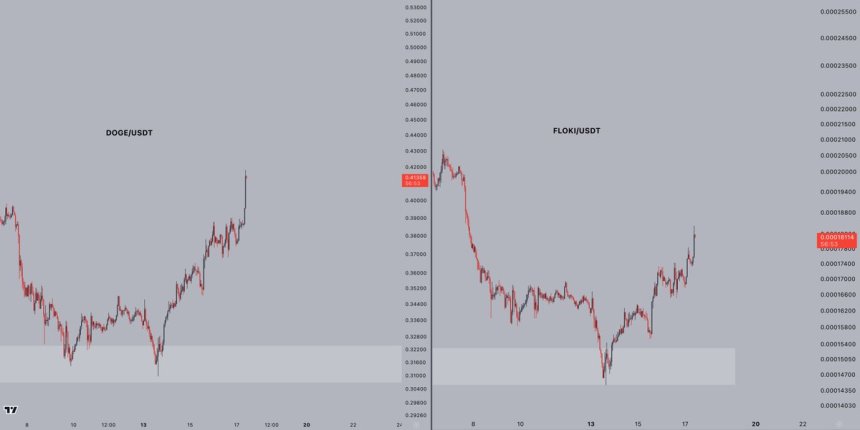 Dogecoin Leads The Pack As Dog-Themed Coins Rally – “Trump Effect” Sparks Excitement