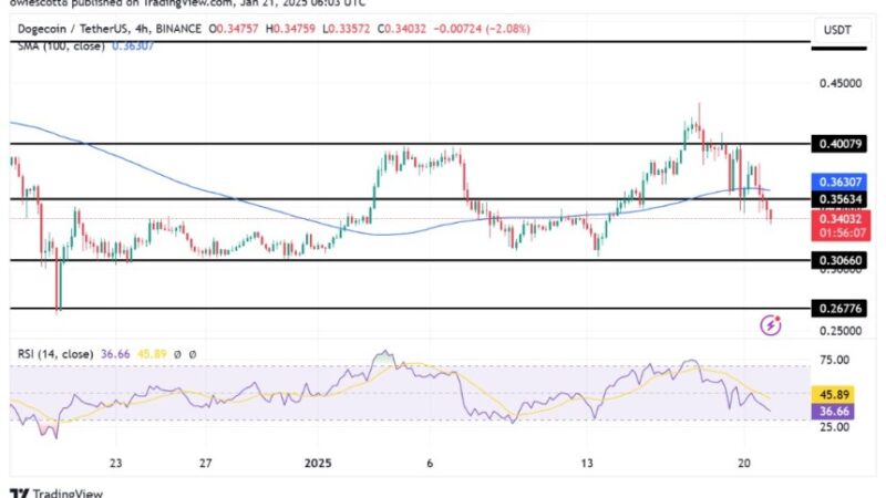 Dogecoin Momentum Weakens: RSI Signals Bearish Continuation To $0.3