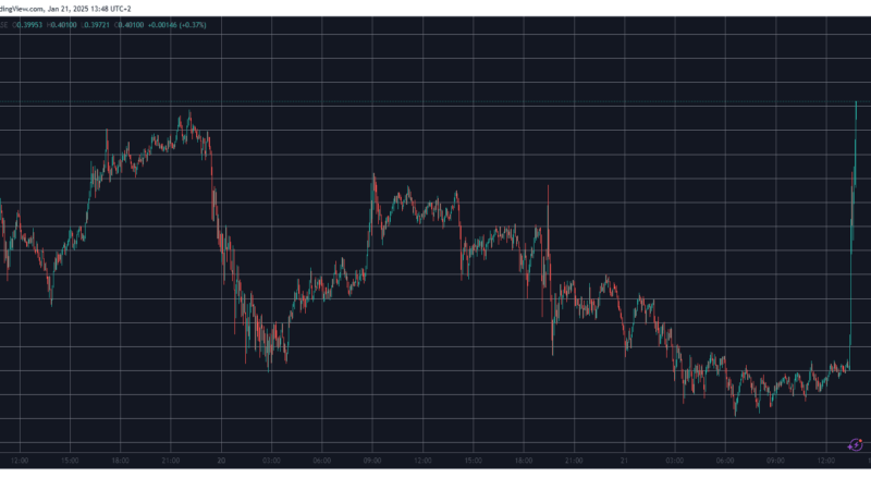 Dogecoin Price Explodes as Department of Government Efficiency Website Adds Meme Coin Logo