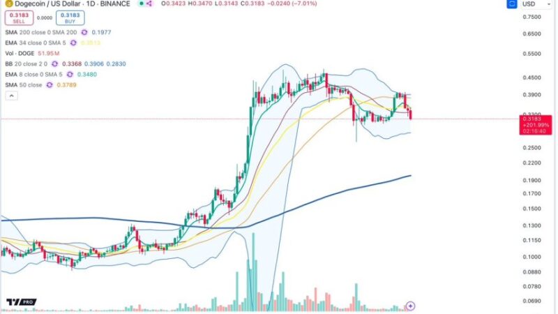 Dogecoin Testing Key Demand Zone – Can DOGE Push Above $0.40?