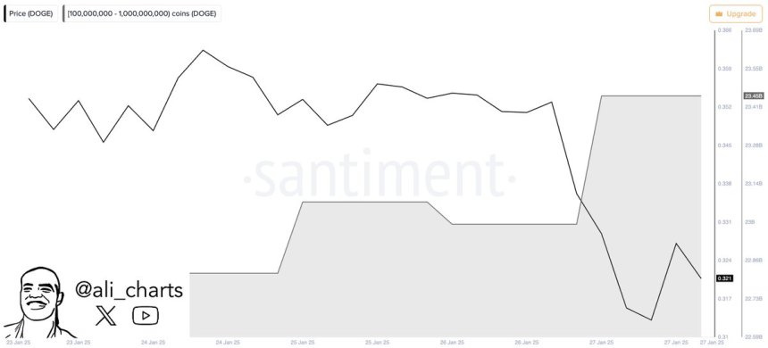 Dogecoin Whales Accumulate 450 Million DOGE During Recent Price Dip – Time For A Breakout?