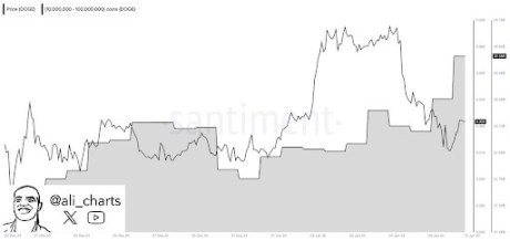 Dogecoin Whales Go on 470 Million DOGE Buying Spree Amid Bullish Recovery In Major Metrics